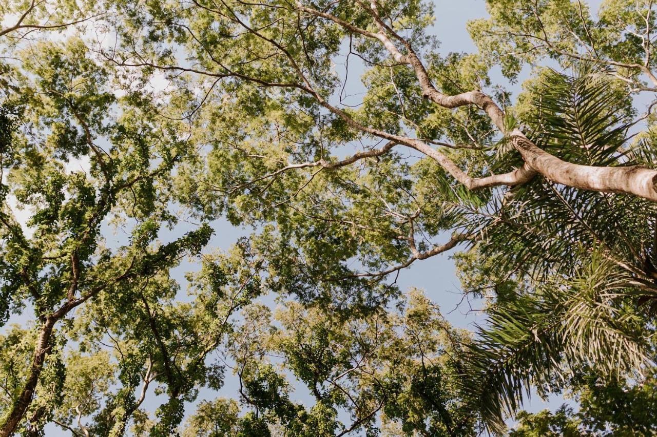 Fazenda Hotel Bem Ecologico Planaltina  Bagian luar foto